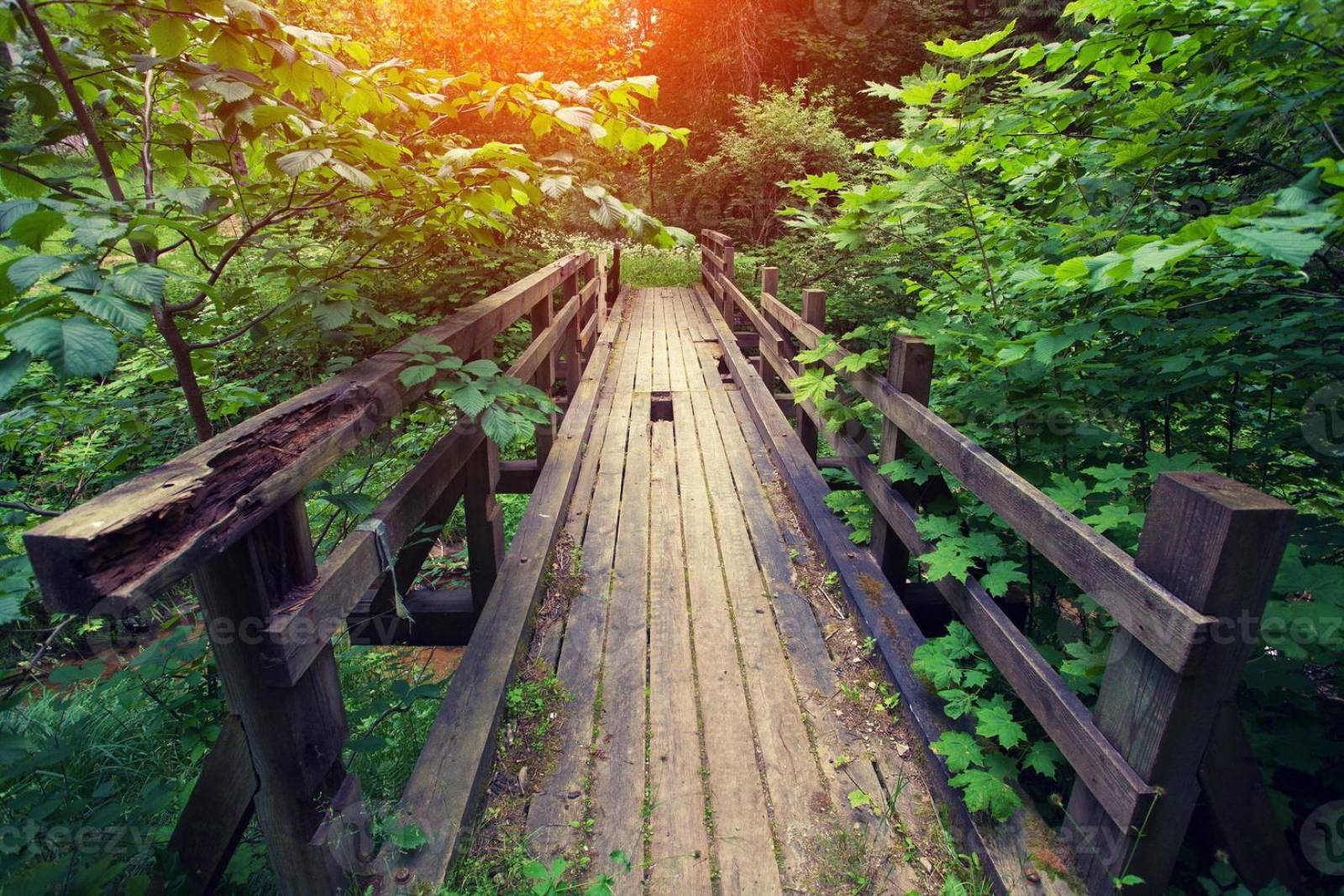 Magnétiseur pour aider les personnes avec troubles articulaire, osseux et tissulaires à Saint-Martin-la-Plaine (42)