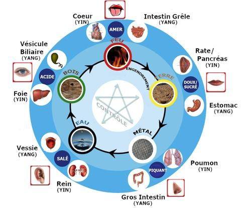 Pourquoi il est important de maintenir l'équilibre corps et émotions ? Cabinet de Saint Martin La Plaine.