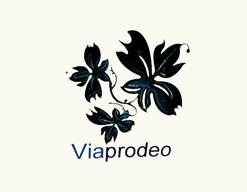 Qu'est-ce qu'un magnétiseur guérisseur ?