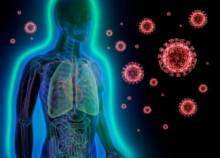 Notre zone d'activité pour ce service Apprentissage des mouvements de Qi Gong avec un professionnel à