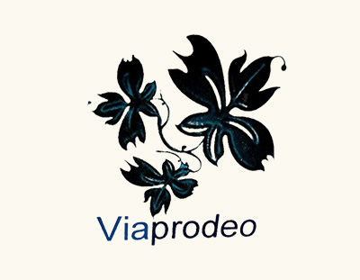 Nos prestations sur le secteur de Saint Etienne (42)